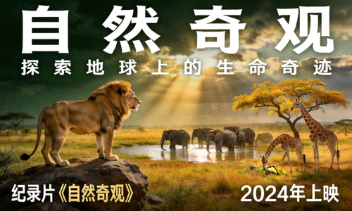 纪录片《自然奇观》野生动物摄影海报